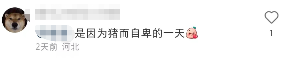 盒马的猪,把刘畊宏女孩卷疯了!