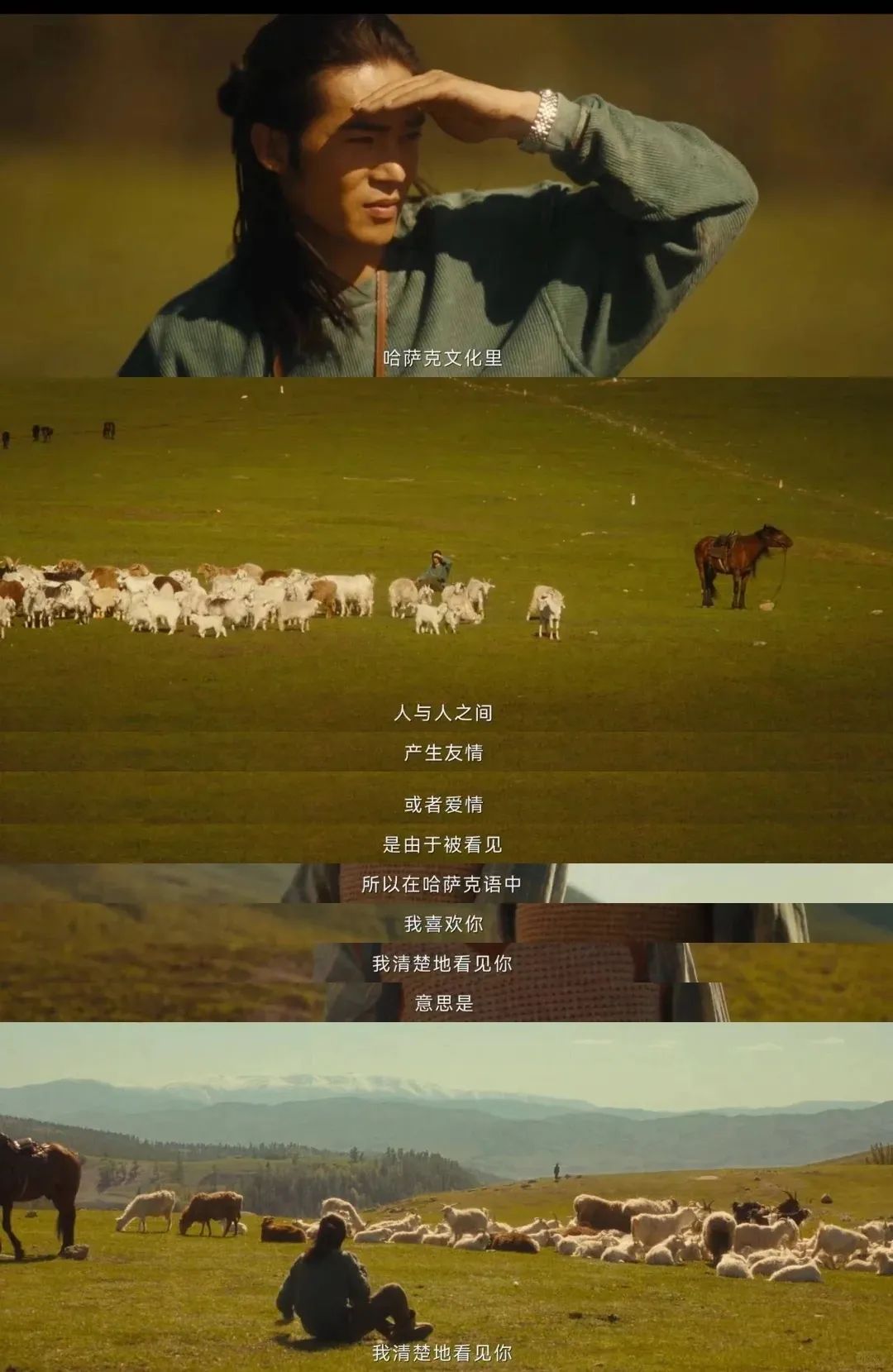 《我的阿勒泰》这些 “松弛感文案”,温暖又治愈