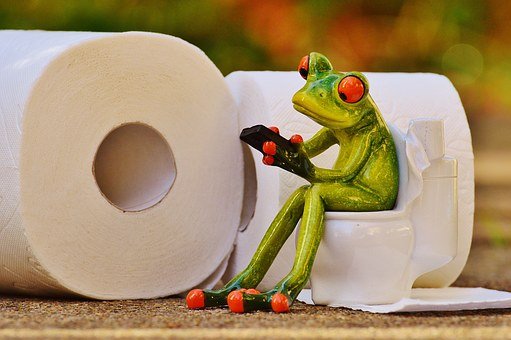 frog-1037248__340.jpg