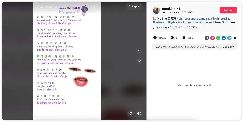 中文神曲席卷TikTok:《今生缘》洗脑数千万老外,播放量破亿