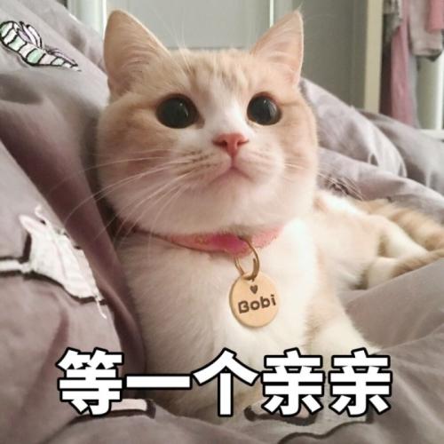 点击查看源网页 点击查看源网页