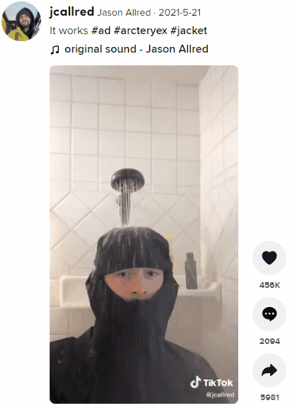 始祖鸟1.gif