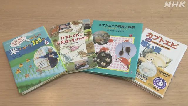 日本9岁小学生暑假租600㎡地，学会了种田，实现吃米饭自由！网友：动手能力比我强1000倍！