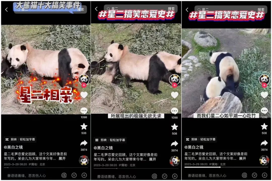 播放量破600亿,抖音又现新顶流