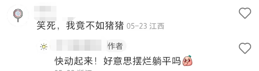 盒马的猪,把刘畊宏女孩卷疯了!