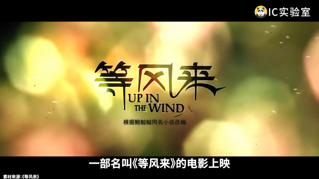 网红打卡点，为啥短命？