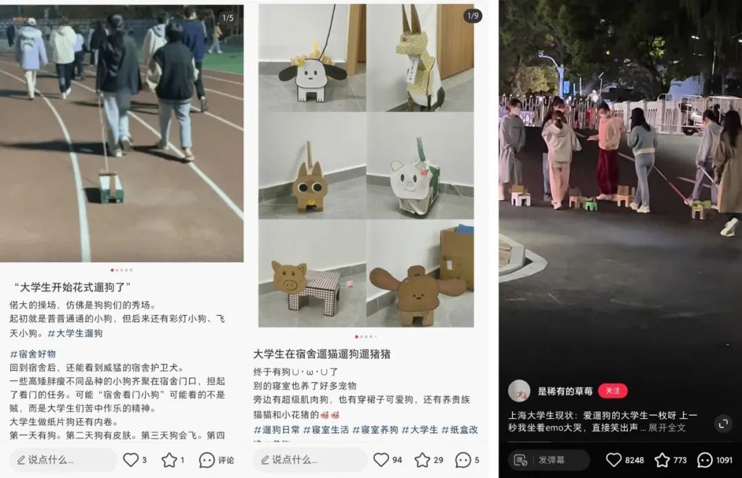 靠&ldquo;爬行&rdquo;在小红书获赞数万，这届年轻人发起疯来也太迷惑了&hellip;&hellip;