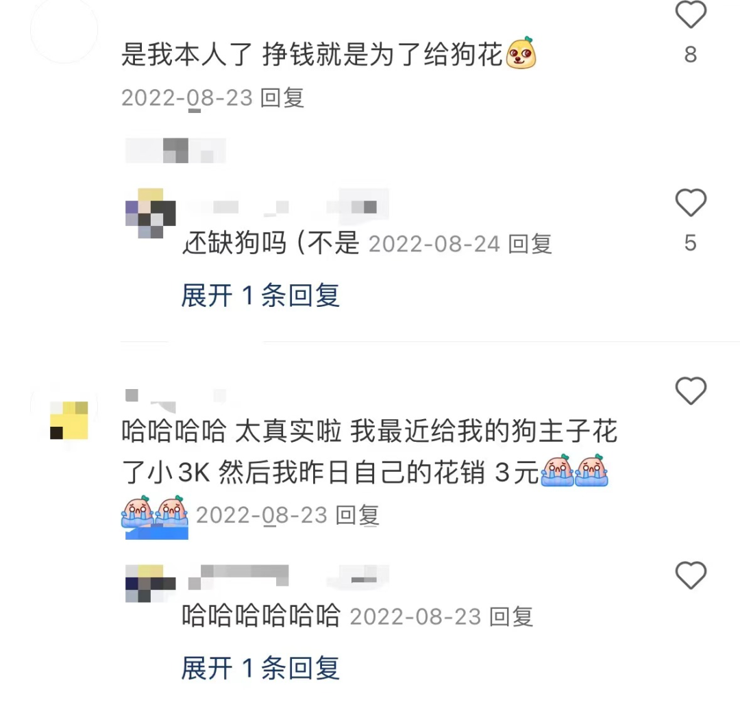 后悔和父母出游的年轻人,正在计划带宠物旅行