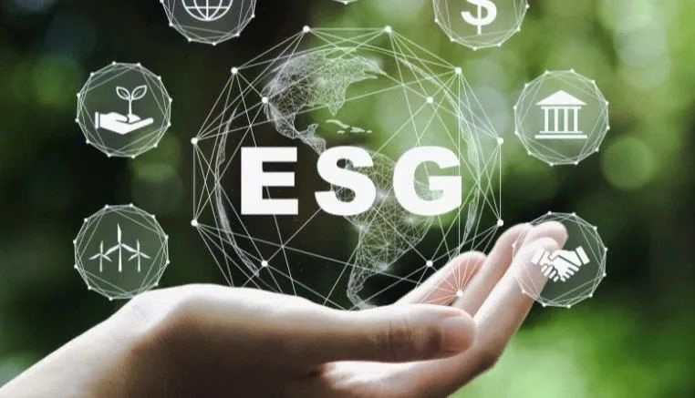 物流业集体拥抱的ESG,菜鸟如何成为领头羊?