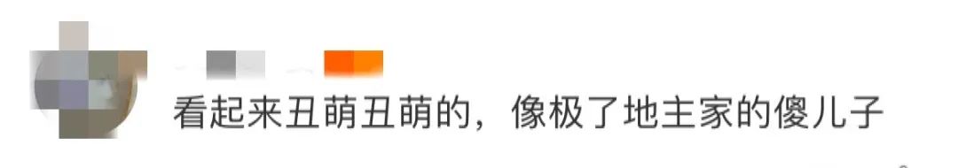 辣眼睛!淘宝“土味”设计又来了,新LOGO设计又丑又萌,像极了地主家的傻儿子?网友:你吵到了我的眼睛!