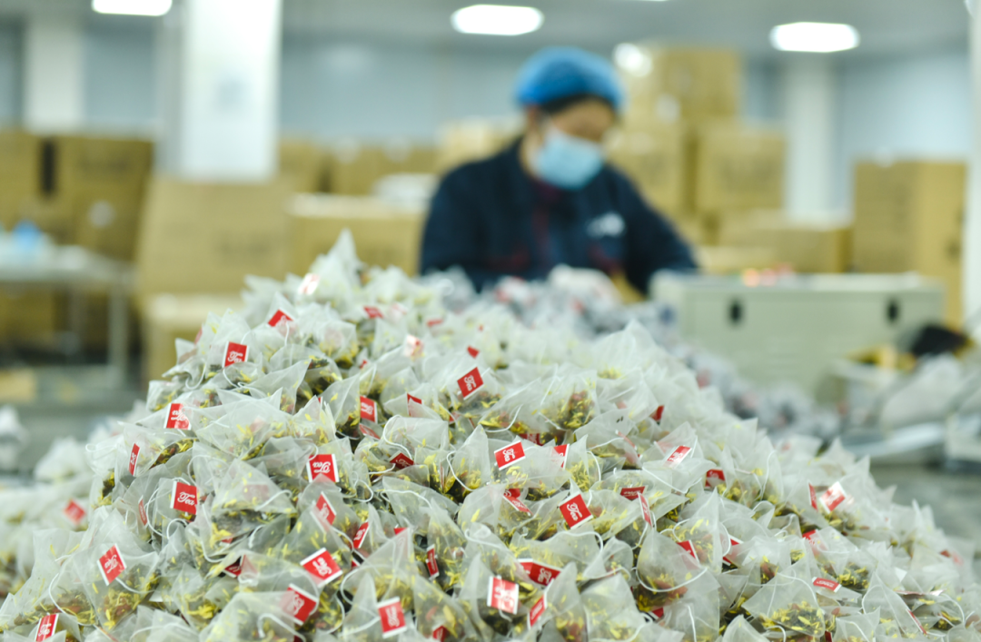探秘亳州模式:花草茶产业在拼多多狂奔的5年