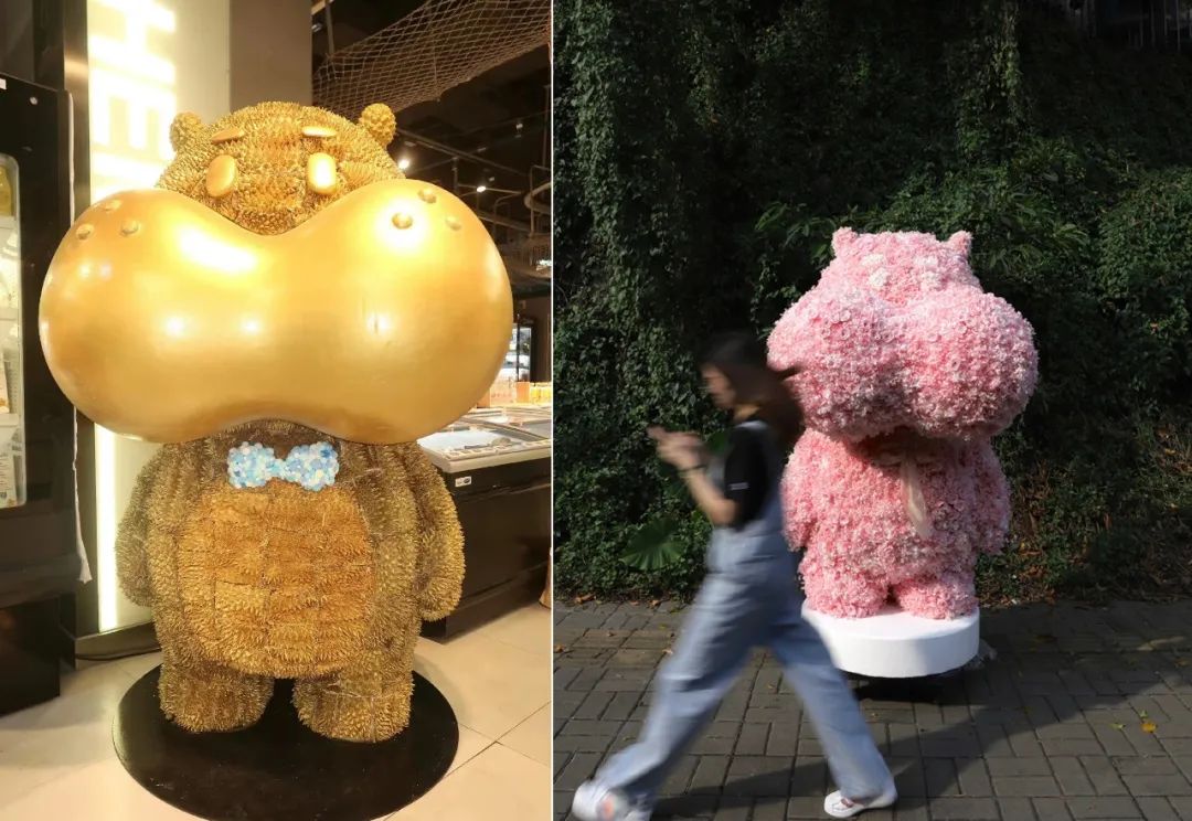 盒马的猪,把刘畊宏女孩卷疯了!