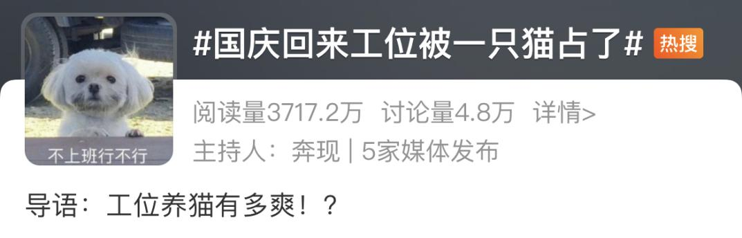 杰士邦勇闯宠物界,靠“一只猫”打响IP新战役