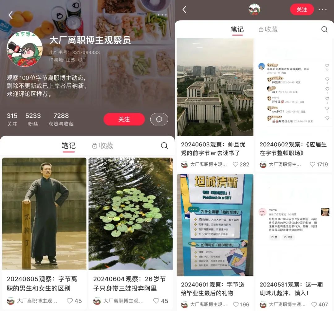 “离职博主”扎堆小红书,“失业”成了流量密码