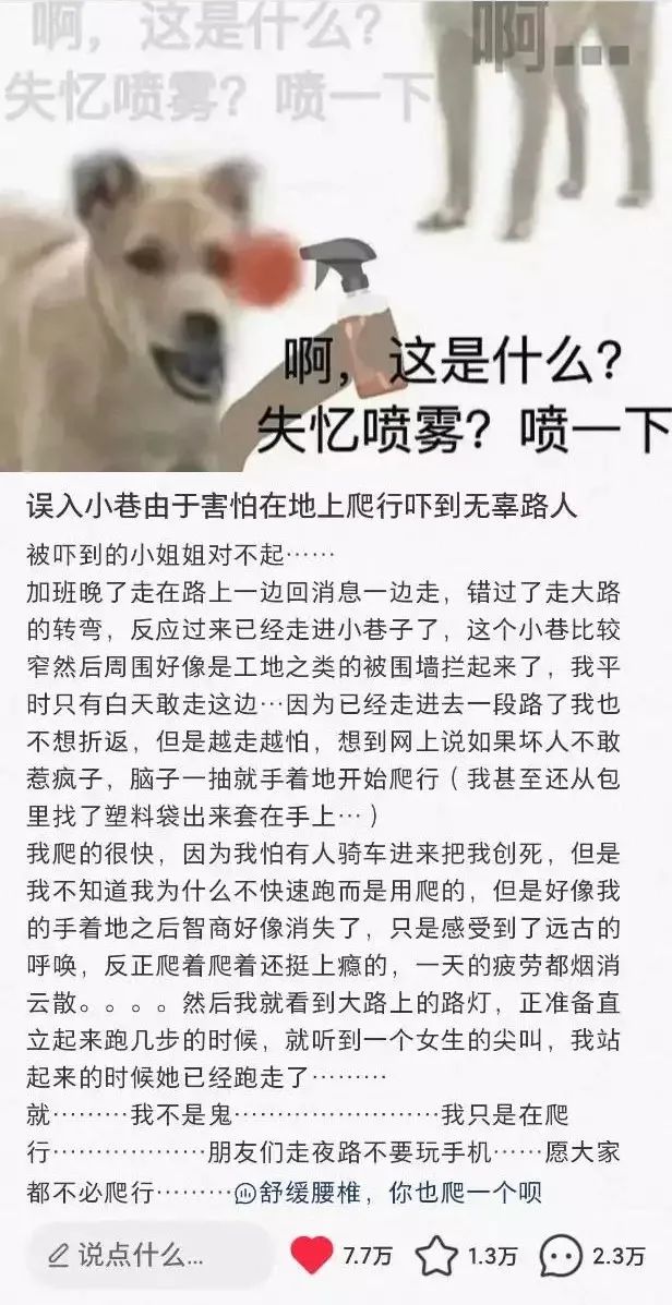 靠&ldquo;爬行&rdquo;在小红书获赞数万，这届年轻人发起疯来也太迷惑了&hellip;&hellip;