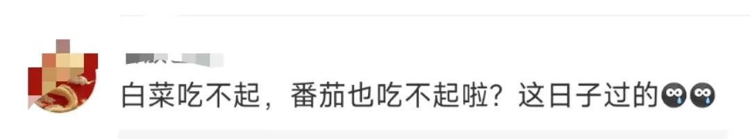 韩国人痛失“西红柿自由”?麦当劳在韩遭遇尴尬!