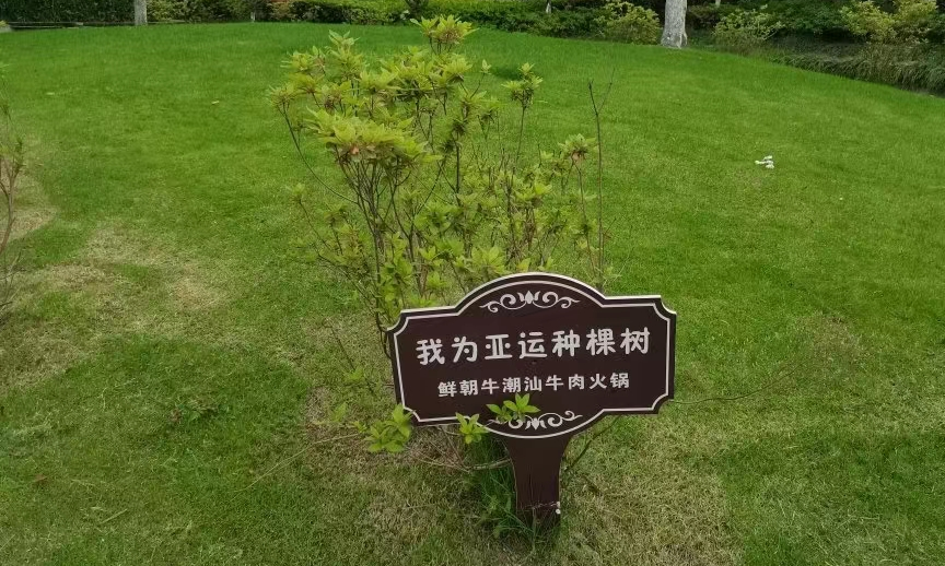 &ldquo;神仙路过也要喊加油&rdquo;，杭州亚运会宣传太顶了！
