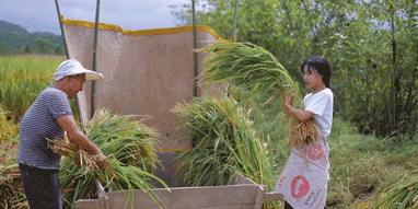 李子柒,赢了!