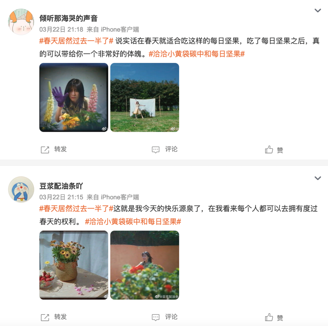 洽洽小黄袋0碳坚果再攀环保营销新高度,只为赖一个更久的春天