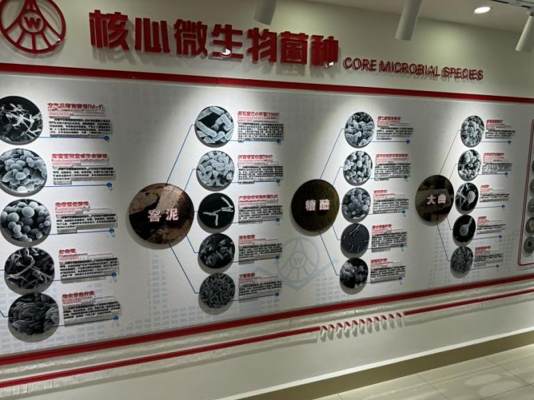 新时代下的五粮液：传统匠心和现代科技的&ldquo;平衡术&rdquo;