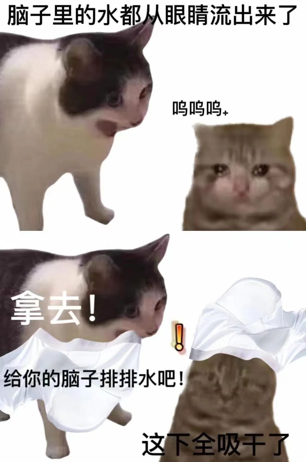 网友为内裤品牌写的卖货文案，路子太&ldquo;野&rdquo;了!