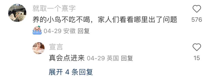 小红书网感文案，句句神标题