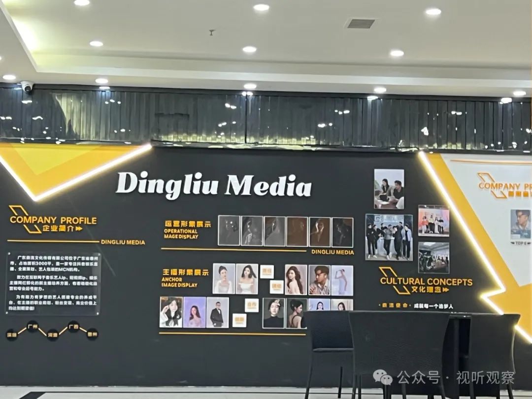 当娱乐公会遇上瓶颈，鼎流传媒跨界转型音乐孵化赛道，凭什么突出重围？