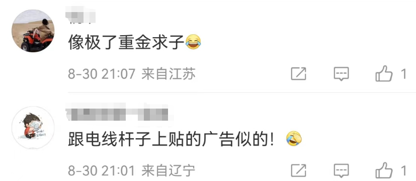 椰树招聘又火了!网友:缅北看到都自愧不如