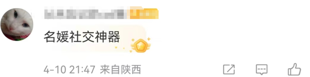 华为居然出奢牌包包了?“名媛社交神器”离了个大谱!