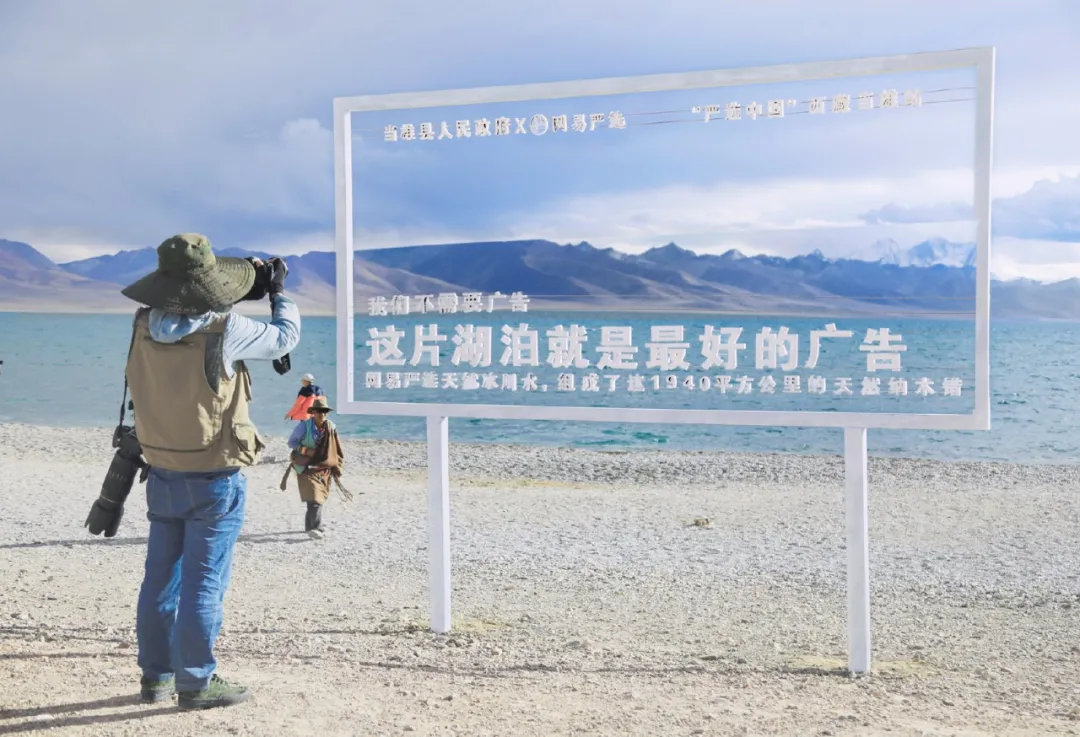 网易严选&ldquo;中国大鹅&rdquo;听劝海报，文案太有梗了