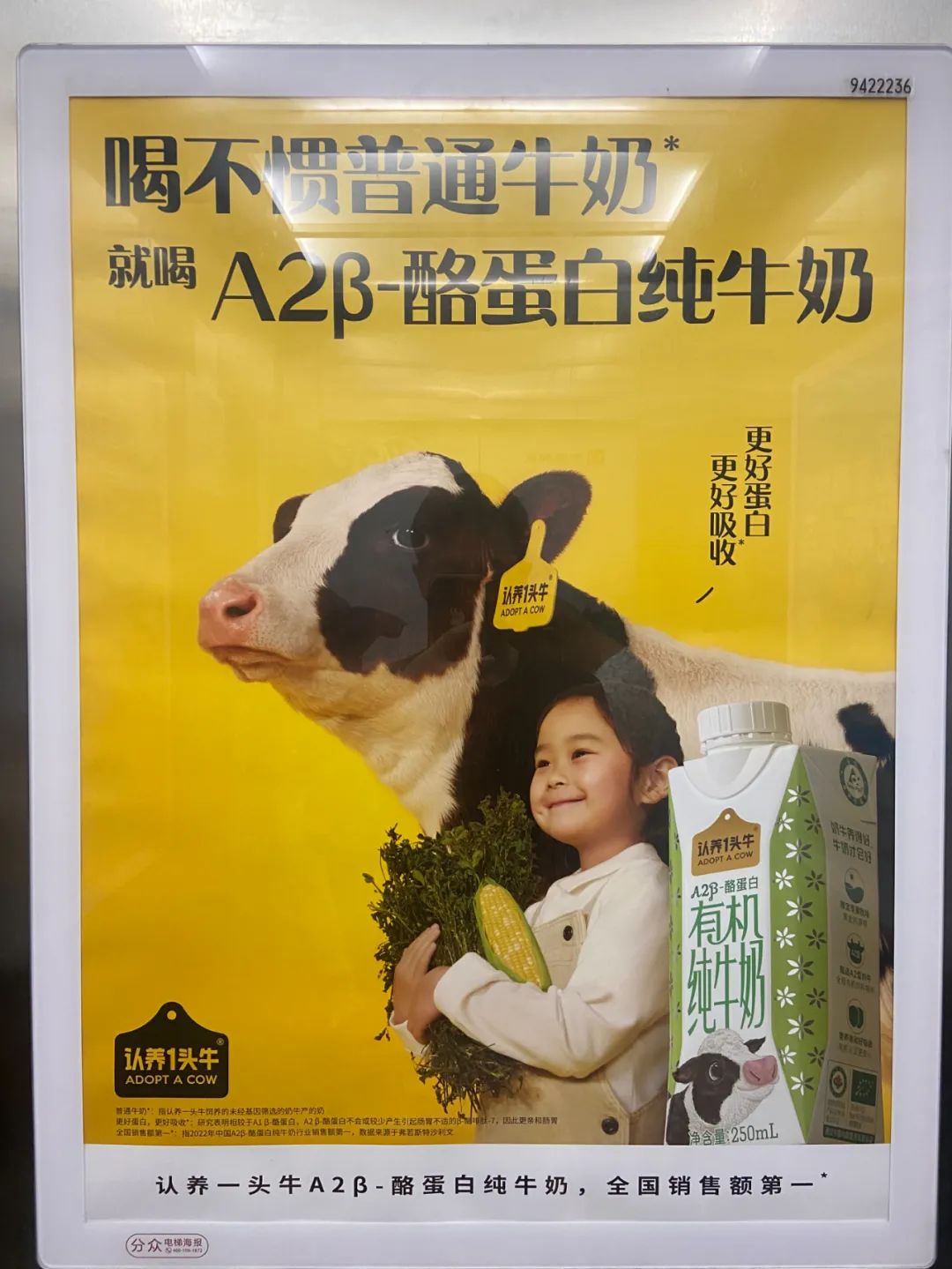 最近收藏的20句文案