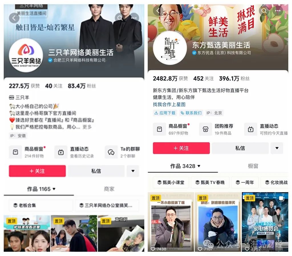 疯狂小杨哥,重走辛巴路