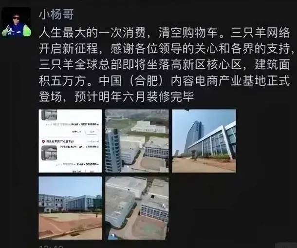 双11直播电商必备戏码:打假头部主播