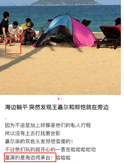 “被王嘉尔骑过”?官方玩梗营销离大谱哈哈哈!