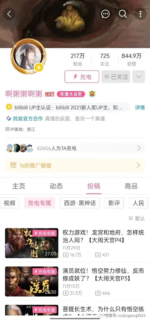 B站“充电”,小红书“种草”——社区商业化即将进入下半场(粉丝专享版)