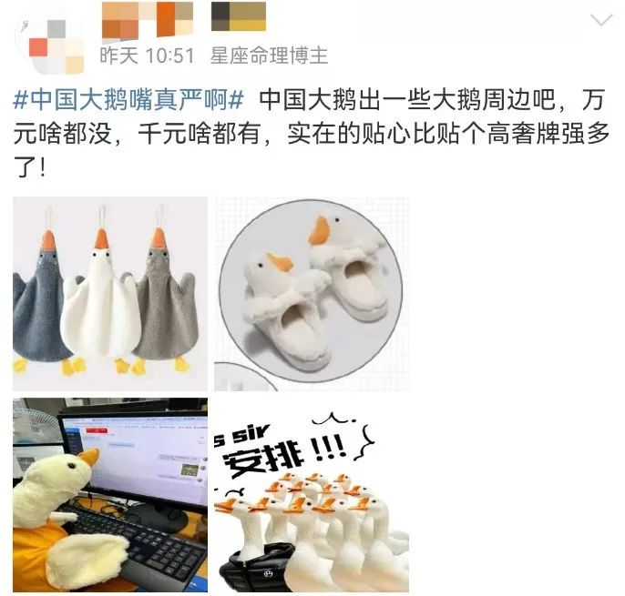 “中国大鹅”火了!双11最强带货王,竟然是网友?