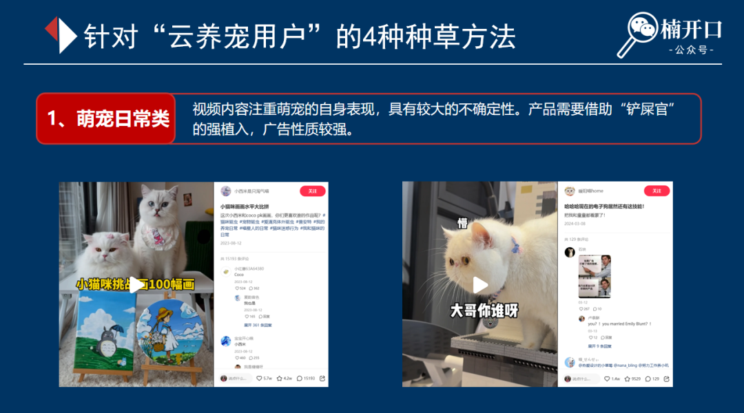 新品上市如何推广?3步让新品即爆品!