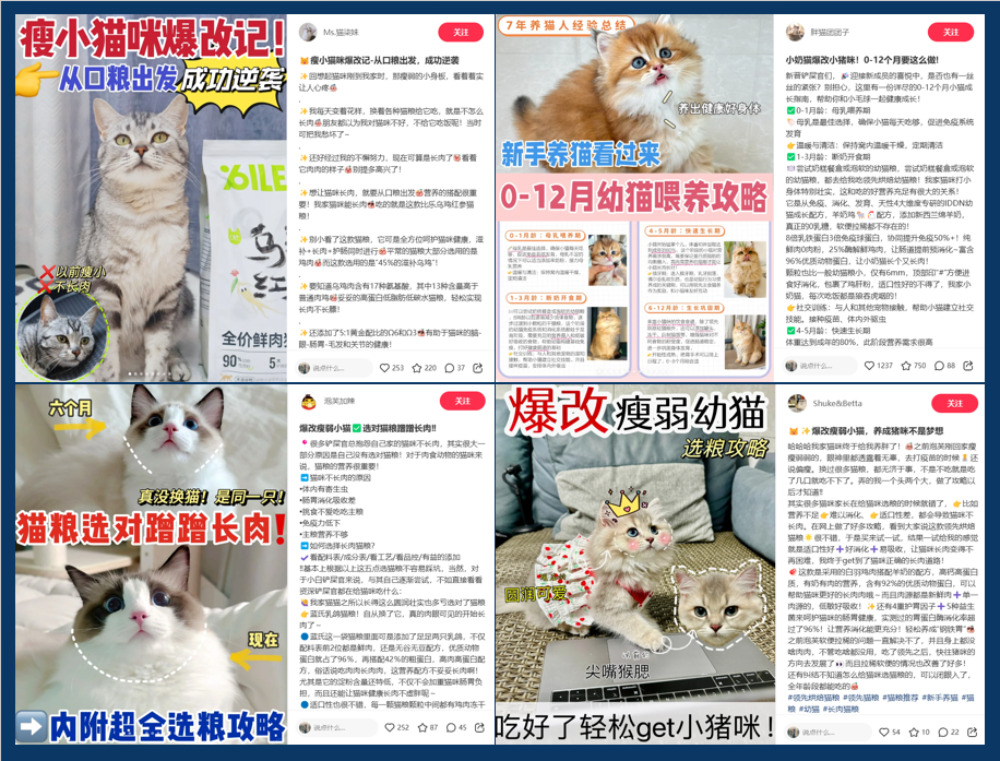 连产品的目标用户都不知道,你还要在小红书种草上花多少冤枉钱?