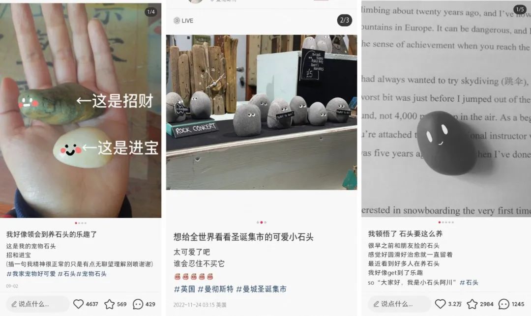 靠&ldquo;爬行&rdquo;在小红书获赞数万，这届年轻人发起疯来也太迷惑了&hellip;&hellip;