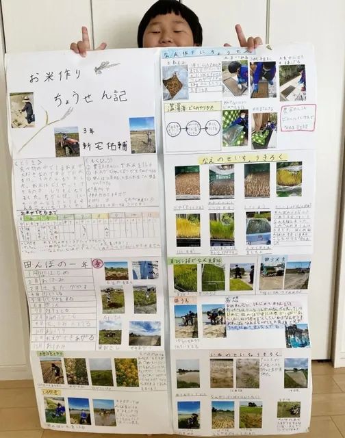 日本9岁小学生暑假租600㎡地，学会了种田，实现吃米饭自由！网友：动手能力比我强1000倍！