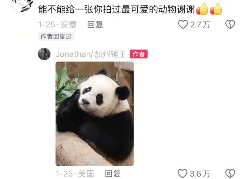 7天涨粉百万,听劝的野外摄影师“加州锤王”快把网友哄成“胚胎”了