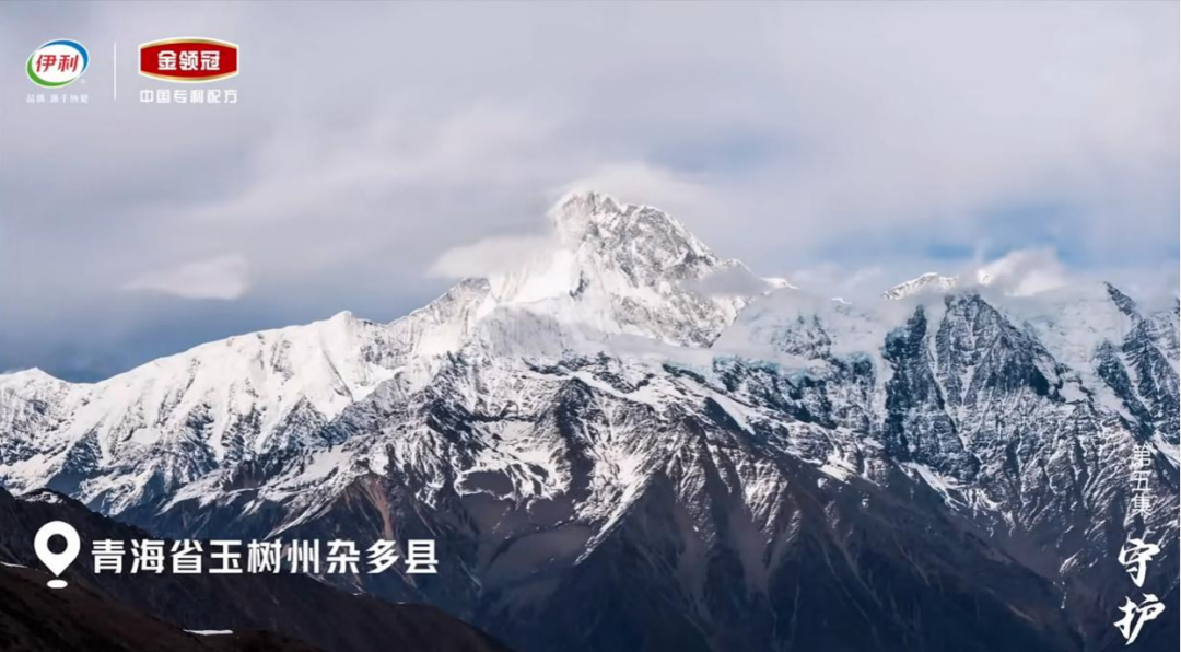 这部风靡全网的纪录片,带你见证中国奶粉如何“超越自我”