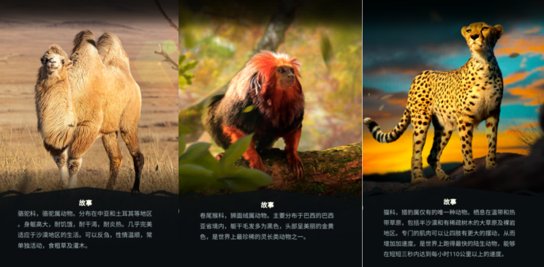 预约榜第一,贪玩游戏以一款真实动物题材游戏撬开新赛道大门