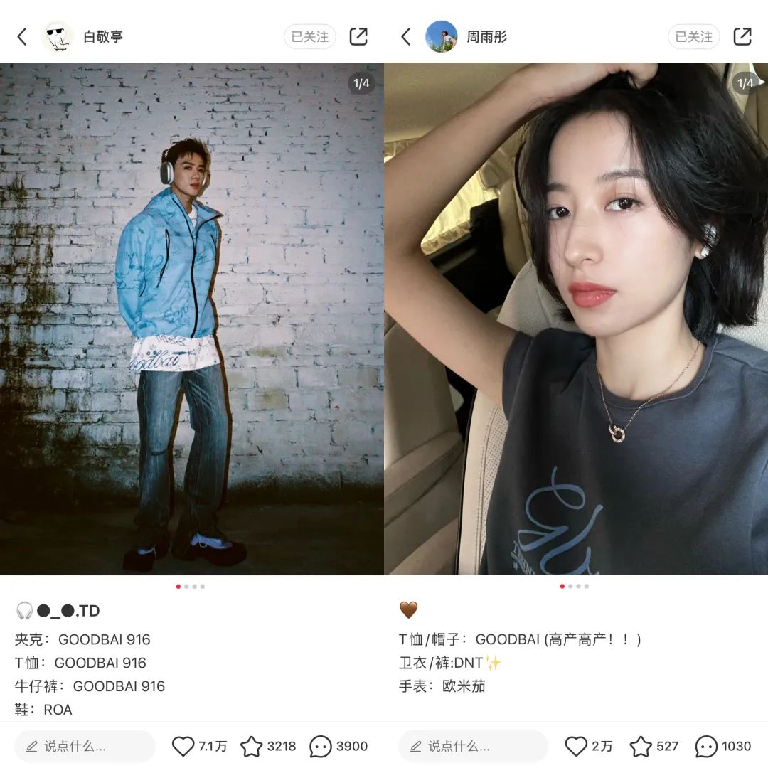 小红书“明星顶流”大洗牌,刘畊宏赵露思白敬亭成吸粉铁三角 | 2022年终观察
