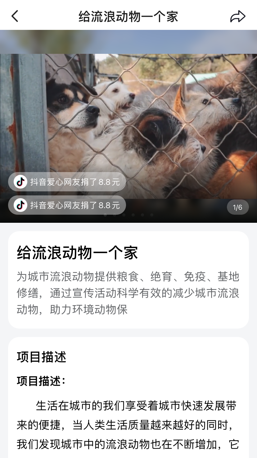 国际残疾人日,抖音讲了三则故事