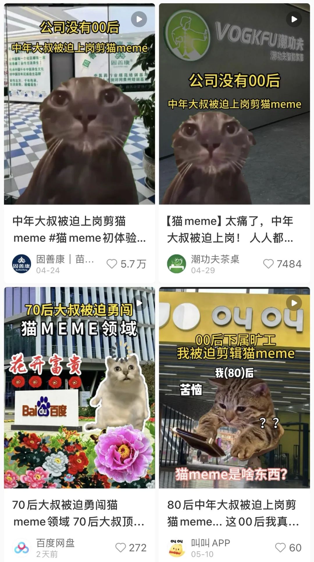 00后官号运营，正在用猫meme勇闯职场