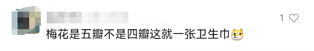 200亿的“姨妈巾高铁站”火了!网友:流量再大也能兜住