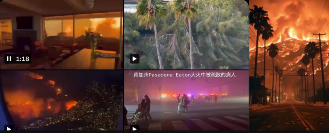 一家兔子博物馆化为灰烬,20明星豪宅烧毁!洛杉矶大火中的品牌、明星救援