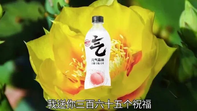 满屏拉胯特效,元气森林和蔡国庆咋想的?