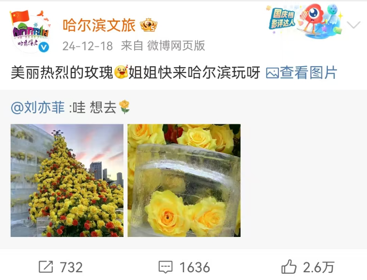 刘亦菲一觉醒来天塌了,全国文旅宣传越来越癫!